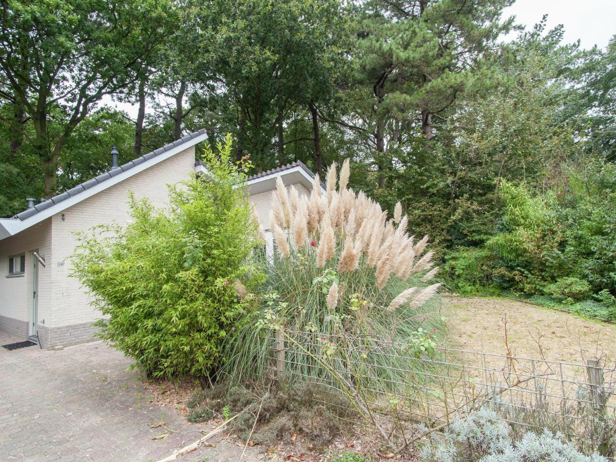 Elite Holiday Home In North Holland Near Forest Schoorl Dış mekan fotoğraf